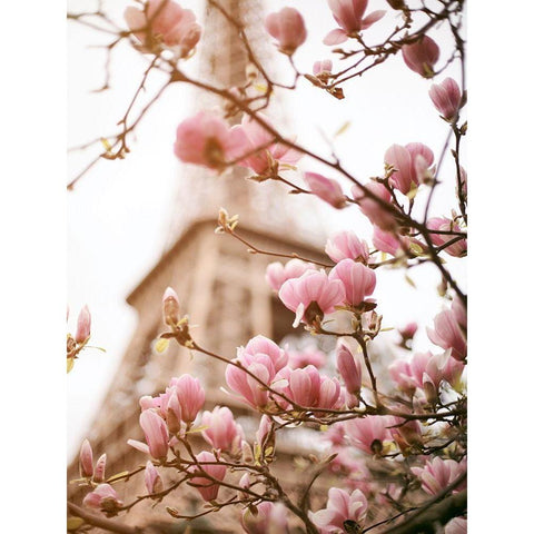 Paris Dreams 1 White Modern Wood Framed Art Print by Okula, Carina