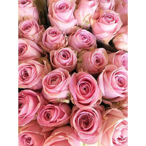 Paris Petals 3 White Modern Wood Framed Art Print by Okula, Carina