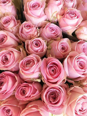 Paris Petals 3 Black Ornate Wood Framed Art Print with Double Matting by Okula, Carina