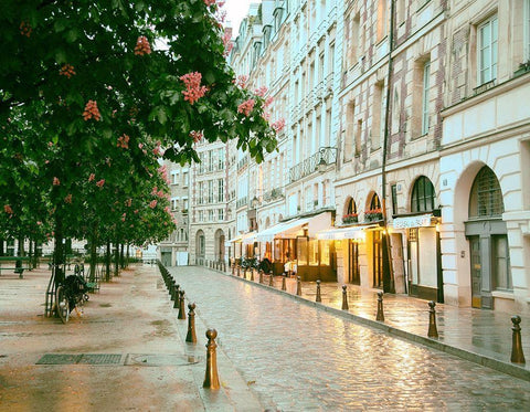 Paris in Chesnut Blossom Pink White Modern Wood Framed Art Print with Double Matting by Okula, Carina