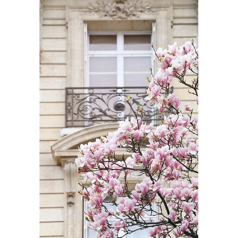 Spring Magnolias in Paris Black Modern Wood Framed Art Print by Okula, Carina