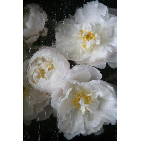 Paris Bloom - Market Flowers Black Modern Wood Framed Art Print with Double Matting by Okula, Carina