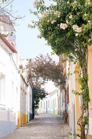 Portuguese Perfection Black Ornate Wood Framed Art Print with Double Matting by Okula, Carina