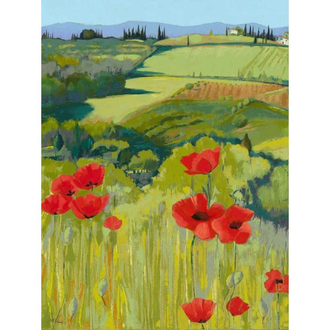 Field of Poppies Black Modern Wood Framed Art Print with Double Matting by Parsons, Jane Henry