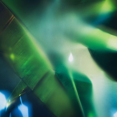 Evergreen No. 1 Gold Ornate Wood Framed Art Print with Double Matting by Pfrommer, Sven