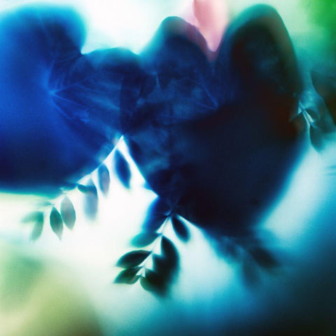 Evergreen No. 2 Black Modern Wood Framed Art Print by Pfrommer, Sven