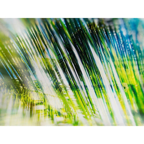 Evergreen No. 6 White Modern Wood Framed Art Print by Pfrommer, Sven