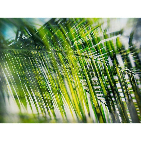 Evergreen No. 8 Gold Ornate Wood Framed Art Print with Double Matting by Pfrommer, Sven