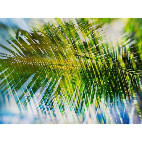 Evergreen No. 9 White Modern Wood Framed Art Print by Pfrommer, Sven