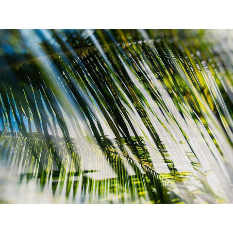 Evergreen No. 10 White Modern Wood Framed Art Print by Pfrommer, Sven