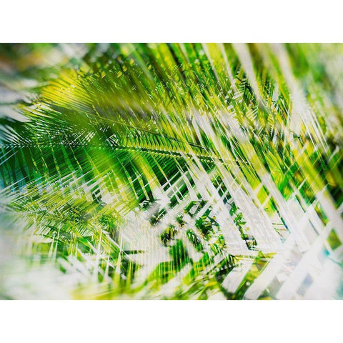 Evergreen No. 11 White Modern Wood Framed Art Print by Pfrommer, Sven