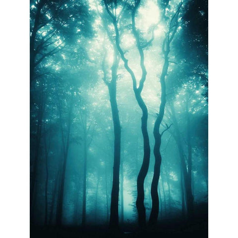 Blue Light Woods Black Modern Wood Framed Art Print by PhotoINC Studio