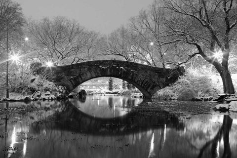 Bridge in Winter White Modern Wood Framed Art Print with Double Matting by PhotoINC Studio