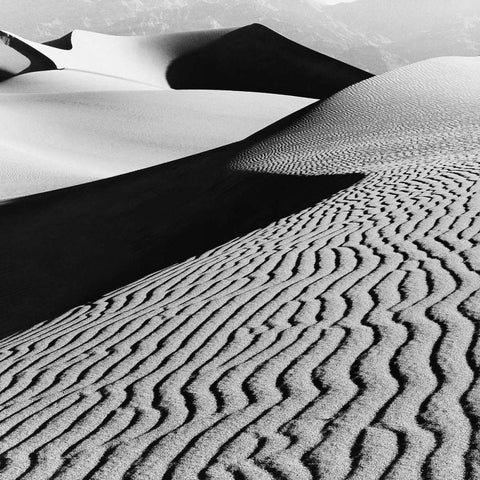 Desert Dunes Gold Ornate Wood Framed Art Print with Double Matting by PhotoINC Studio