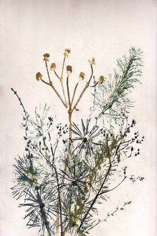 Bouquet 5 Black Modern Wood Framed Art Print by Folcarelli, Pernille