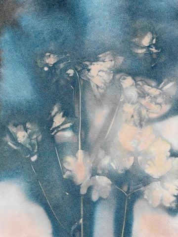 Columbine 2 Peach Blue White Modern Wood Framed Art Print with Double Matting by Folcarelli, Pernille