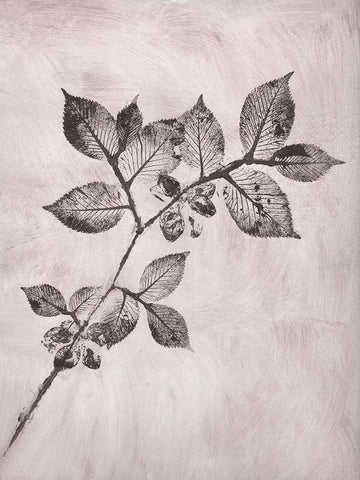 Elm 1 Brown White Modern Wood Framed Art Print with Double Matting by Folcarelli, Pernille