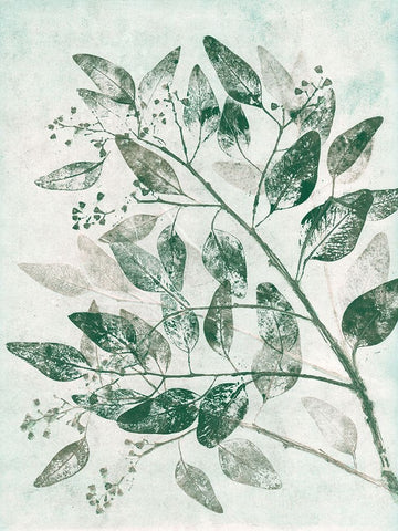 Eucalyptus 1 Green Black Ornate Wood Framed Art Print with Double Matting by Folcarelli, Pernille