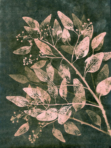 Eucalyptus 1 Moss Blush Black Ornate Wood Framed Art Print with Double Matting by Folcarelli, Pernille