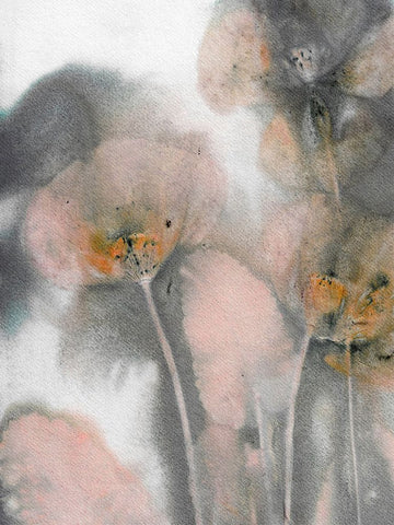 Poppy Salmon Grey White Modern Wood Framed Art Print with Double Matting by Folcarelli, Pernille