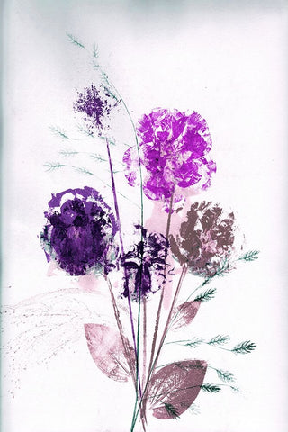 Bouquet Violet Black Modern Wood Framed Art Print by Folcarelli, Pernille