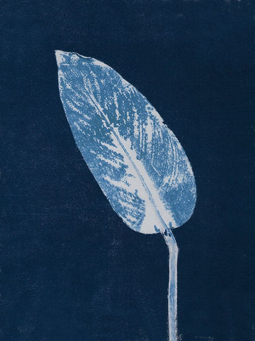 Calathea Blue White Modern Wood Framed Art Print with Double Matting by Folcarelli, Pernille