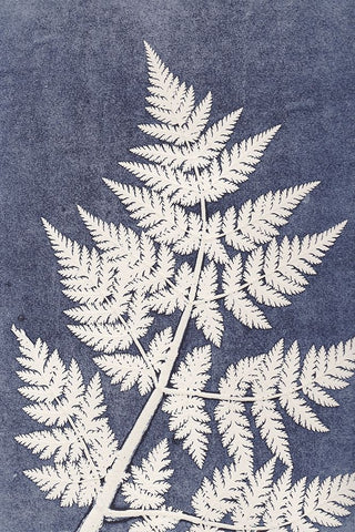 Chevril 3 White Modern Wood Framed Art Print with Double Matting by Folcarelli, Pernille