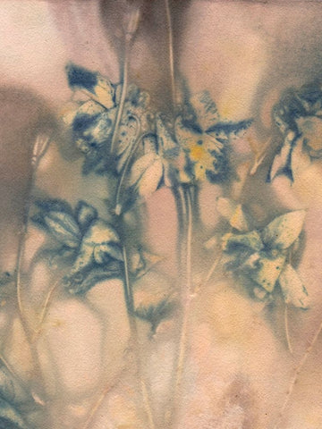 Columbine 1 Blue Black Ornate Wood Framed Art Print with Double Matting by Folcarelli, Pernille