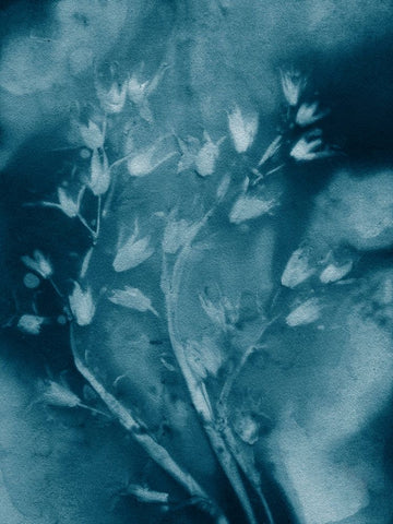 Dropping Star Blue Black Ornate Wood Framed Art Print with Double Matting by Folcarelli, Pernille