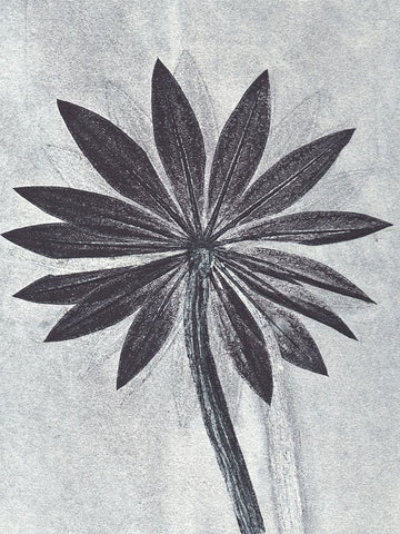 Lupine Smoke Black Ornate Wood Framed Art Print with Double Matting by Folcarelli, Pernille