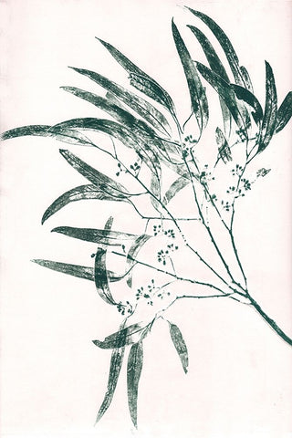 Eucalyptus 2 Green Black Modern Wood Framed Art Print by Folcarelli, Pernille