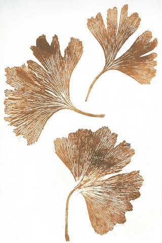 Ginkgo 3 Brown Black Ornate Wood Framed Art Print with Double Matting by Folcarelli, Pernille