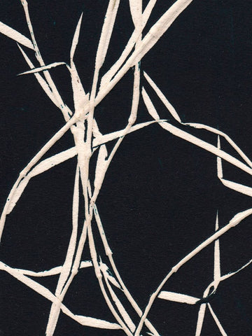 Grass Detail Black Black Ornate Wood Framed Art Print with Double Matting by Folcarelli, Pernille