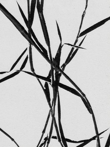 Grass Detail White Black Modern Wood Framed Art Print by Folcarelli, Pernille