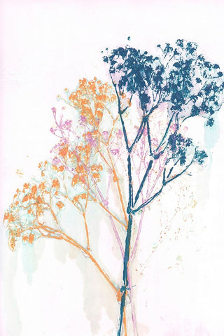 Gypso 2 Mustard Blue White Modern Wood Framed Art Print with Double Matting by Folcarelli, Pernille