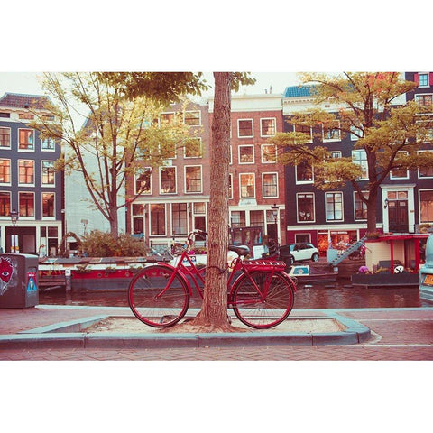Amsterdam Bikes No. 2 Gold Ornate Wood Framed Art Print with Double Matting by Quintero, Sonja