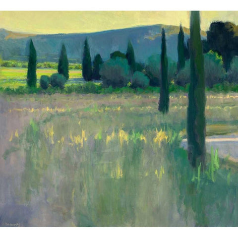 Evening at the Chateau Black Modern Wood Framed Art Print with Double Matting by Roberts, Ian