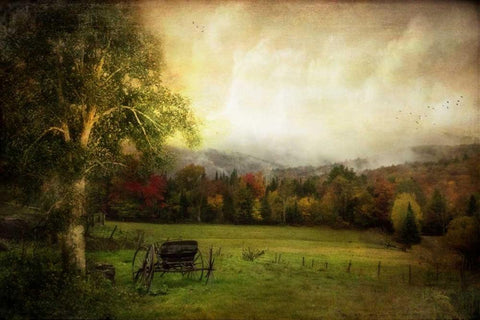 Abandoned Wagon White Modern Wood Framed Art Print with Double Matting by Rivera, John