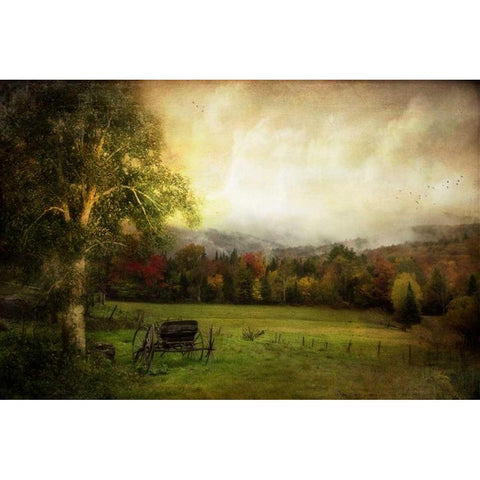 Abandoned Wagon Black Modern Wood Framed Art Print by Rivera, John