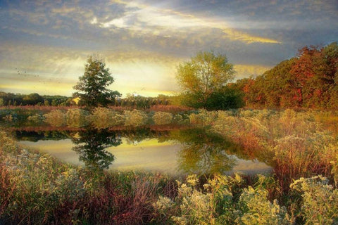Arrival of Dawn White Modern Wood Framed Art Print with Double Matting by Rivera, John