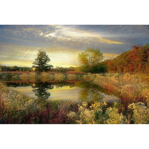 Arrival of Dawn White Modern Wood Framed Art Print by Rivera, John