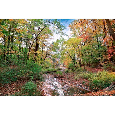 Autumn at Hopkins Pond Gold Ornate Wood Framed Art Print with Double Matting by Rivera, John