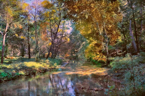 Autumn in The Afternoon White Modern Wood Framed Art Print with Double Matting by Rivera, John