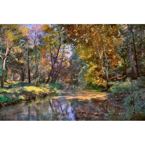 Autumn in The Afternoon Black Modern Wood Framed Art Print with Double Matting by Rivera, John