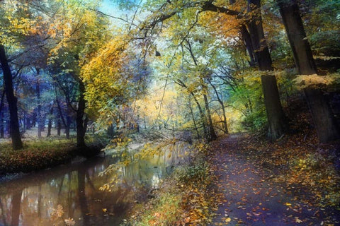 Autumn Walk White Modern Wood Framed Art Print with Double Matting by Rivera, John