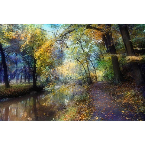 Autumn Walk Black Modern Wood Framed Art Print by Rivera, John
