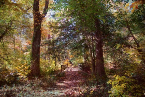 Berlin Park Black Ornate Wood Framed Art Print with Double Matting by Rivera, John
