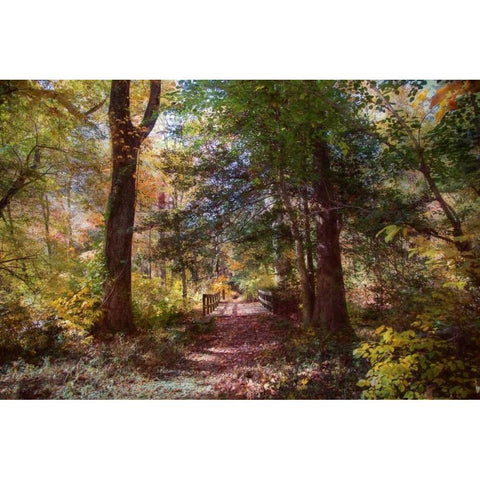 Berlin Park Black Modern Wood Framed Art Print by Rivera, John