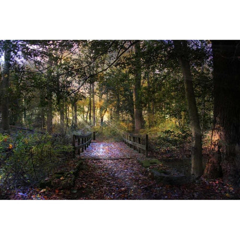 Beyond The Wooden Bridge Black Modern Wood Framed Art Print by Rivera, John