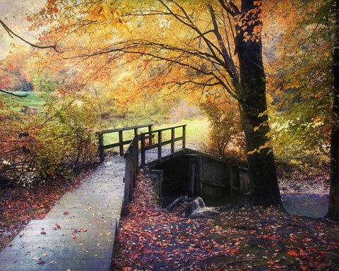 Foot Bridge Black Ornate Wood Framed Art Print with Double Matting by Rivera, John